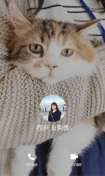 ACADIAN 西沢友梨香 詐欺