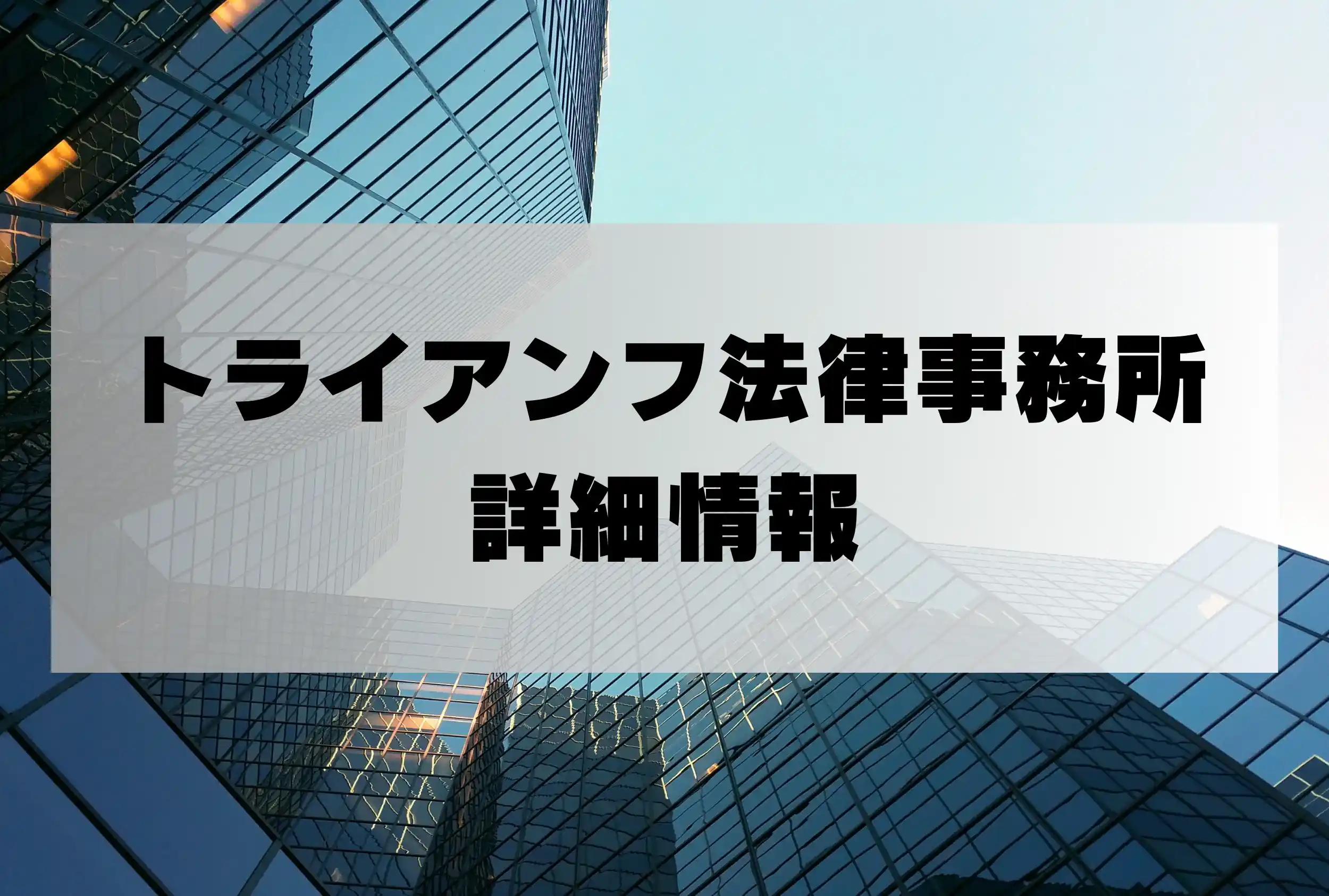 トライアンフ法律事務所 鎌田豊彦 弁護士