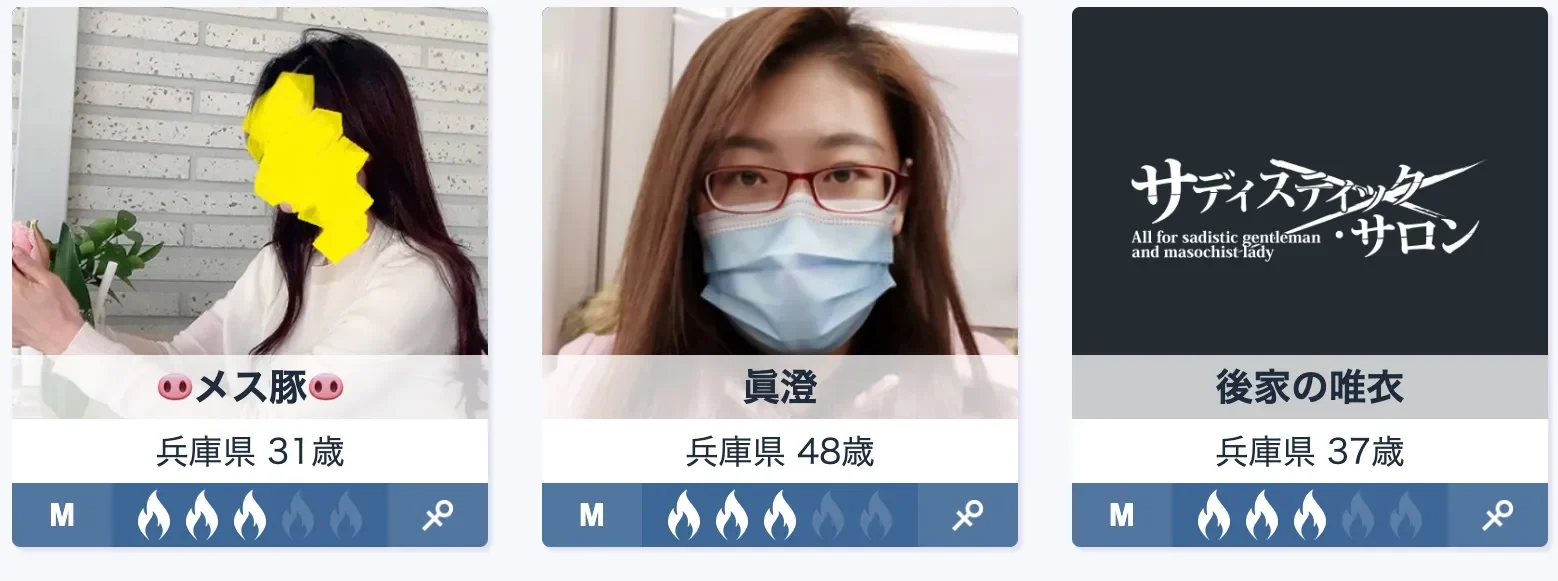 サディスティック・サロン 出会い系 サクラ①