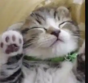 l24 エルトゥエンティーフォー 出会い マッチング 詐欺 悪質 インチキ 会えない サクラ 幸紀