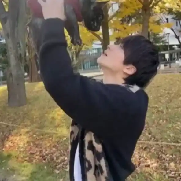 アイドル 出会い マッチング 詐欺 悪質 インチキ 会えない サクラ 寺田